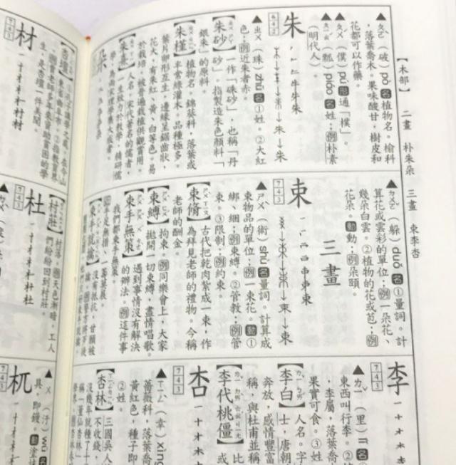 中文字典 國語字典